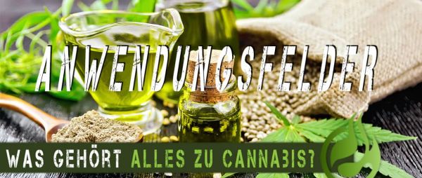 Was-geho-rt-alles-zu-Cannabis