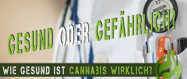 Wie-gesund-ist-Cannabis-wirklich