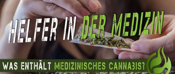 Was-enthaelt-medizinisches-Cannabis