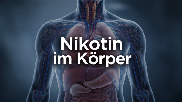 nikotin-im-koerper